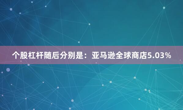 个股杠杆随后分别是：亚马逊全球商店5.03%